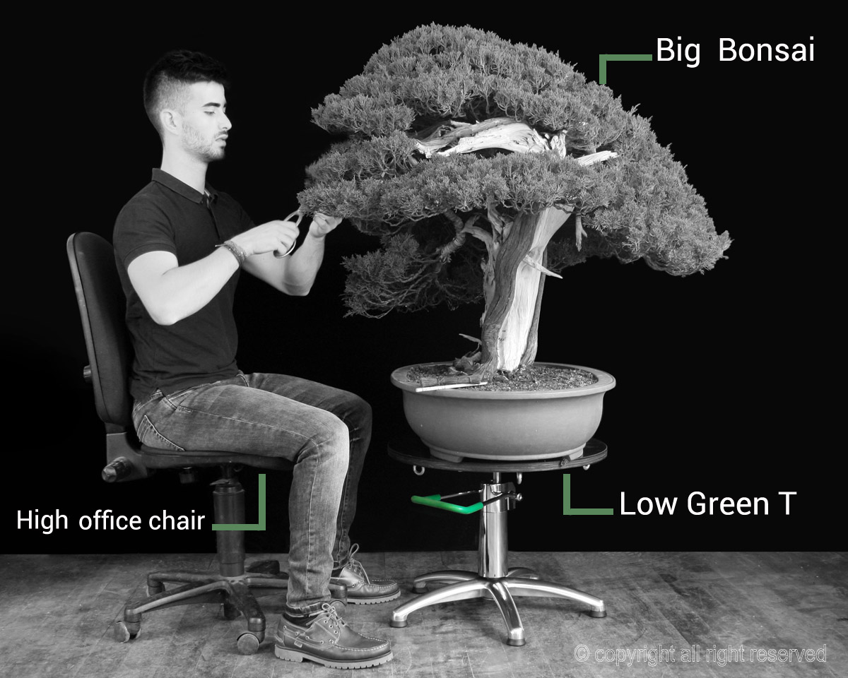 Green_T-Turn_table_bonsai_big